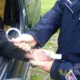 хабар поліцейському в Польщі